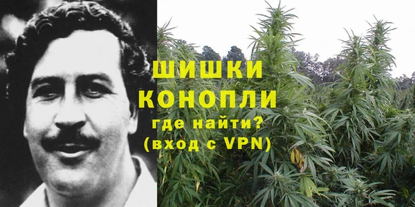 тгк Балахна