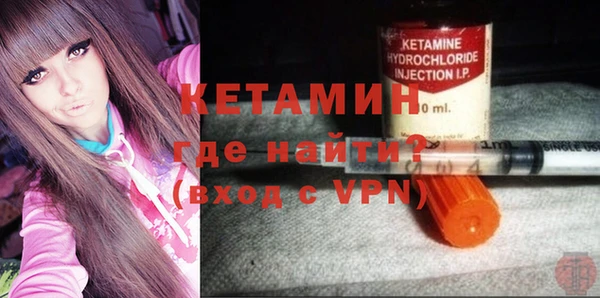индика Дмитров