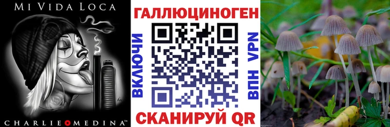 OMG ССЫЛКА  купить наркоту  даркнет Telegram  Псилоцибиновые грибы мицелий  Губкинский 